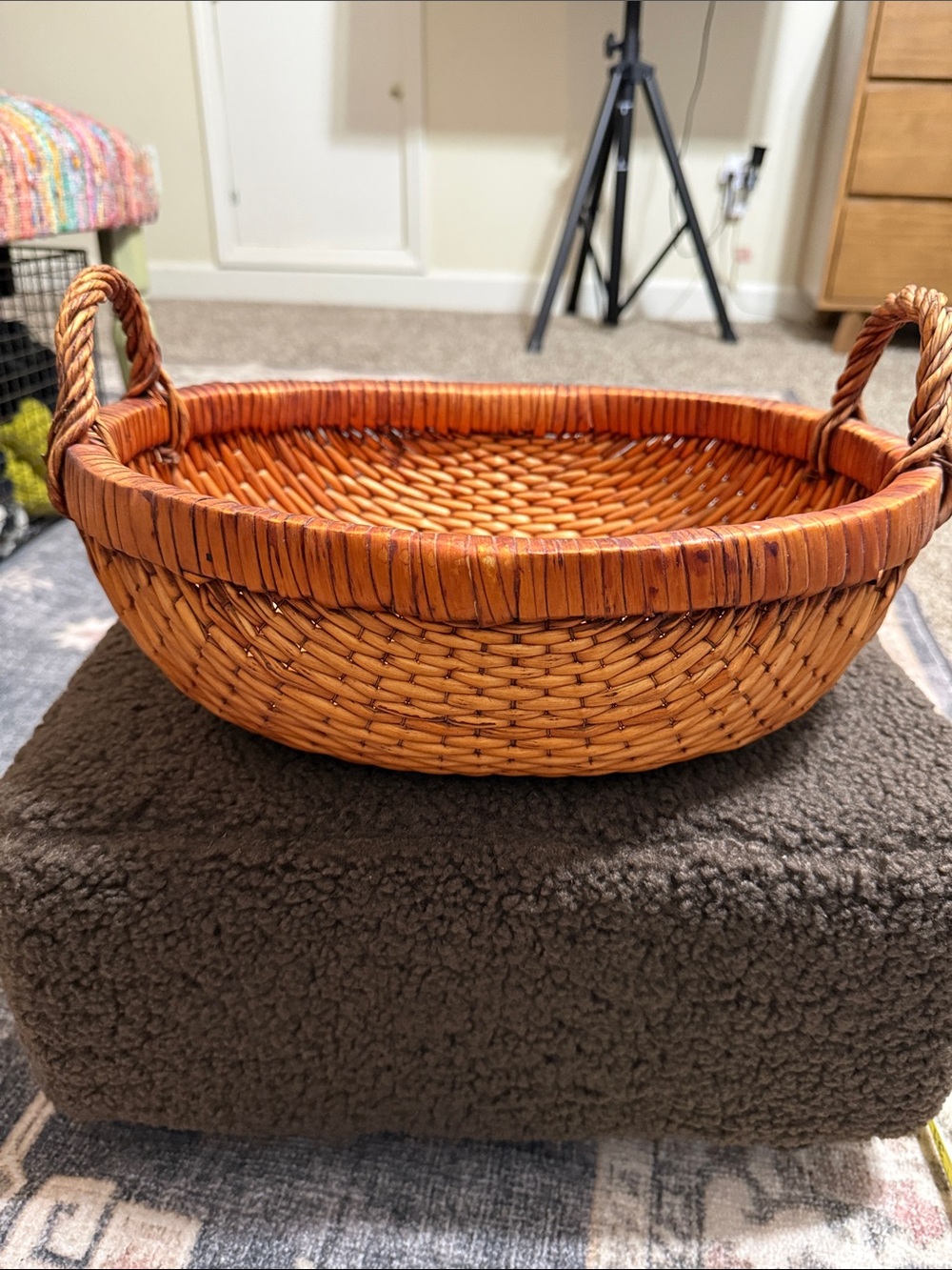 Vintage Handwoven Round Serving Basket with Rope Handles - Brown